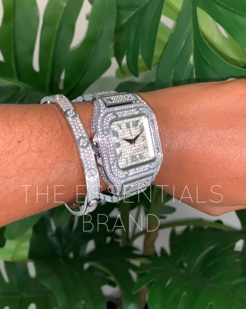 The Icy Watch