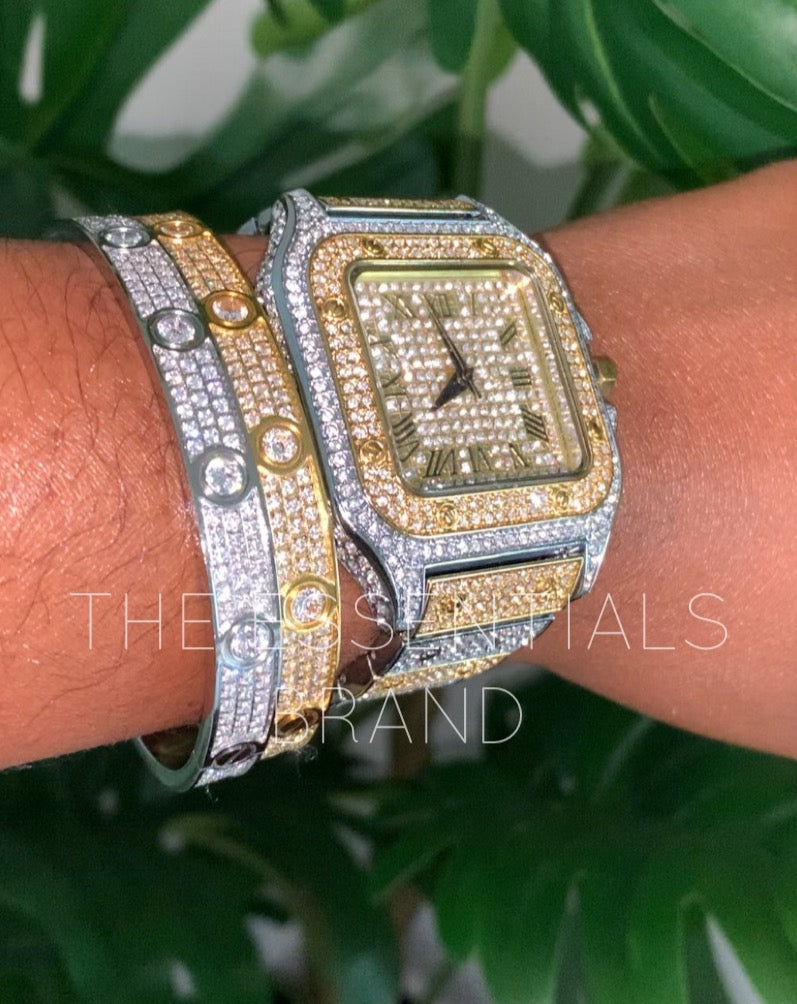 The Icy Watch