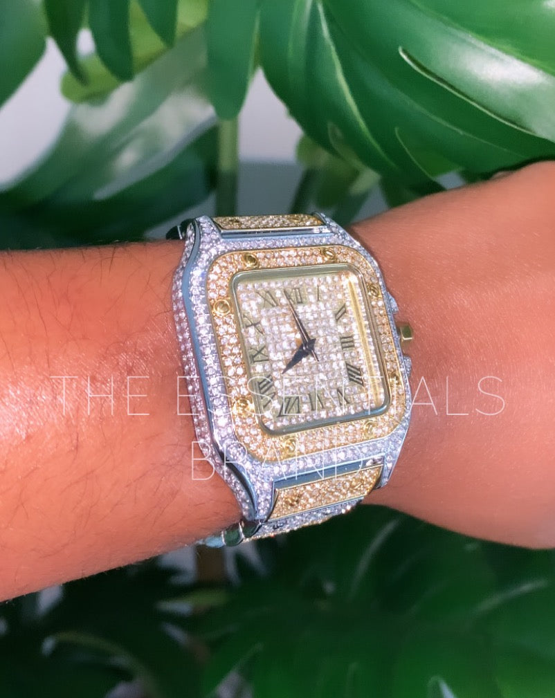The Icy Watch