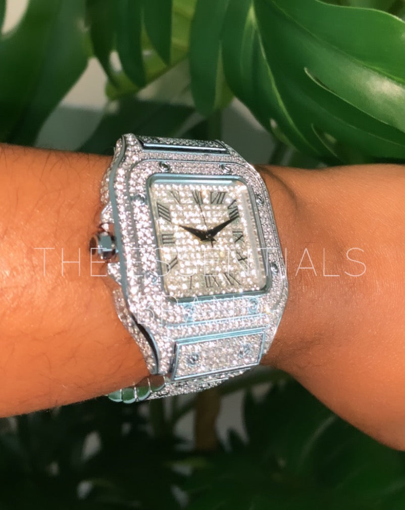 The Icy Watch