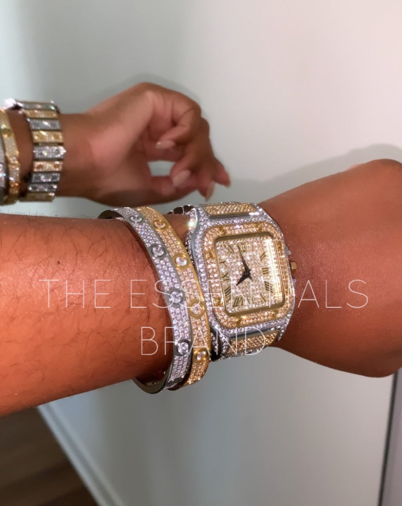 The Icy Watch